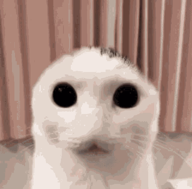 1697973824105.avif