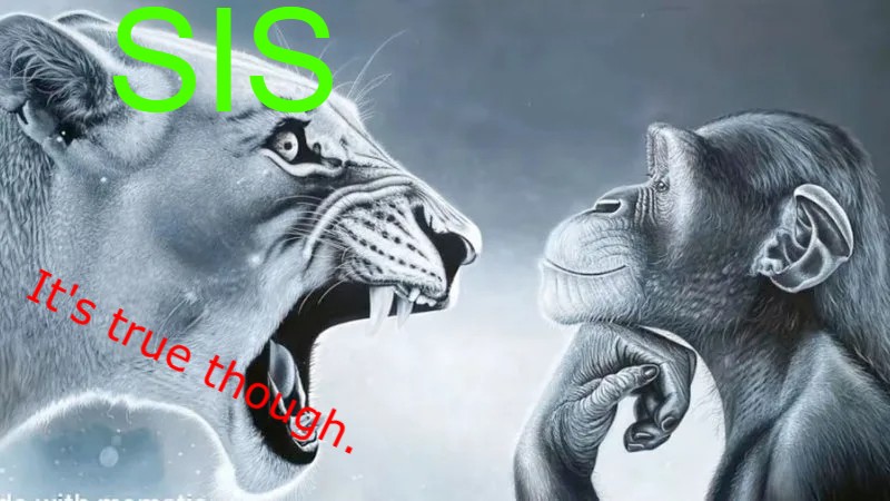 83e596df0f0d9f9d88f110ca990dca92.jpg