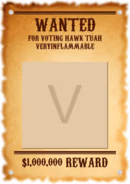 VI.png