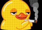 1747699995567.avif