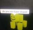 do-you-have-stupid-meme-7.jpg