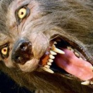 Wolfman ∞