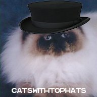 Catswithtophats