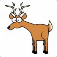 Radiant Deer