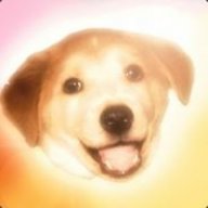 LPA-