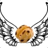 Ibeliveincanfly