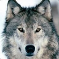 Lone Wolf