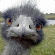 ~Hi~ I3UR5T