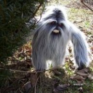 [c.D.c] yeti123full