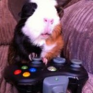Guineatigg