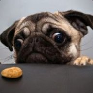 ツ Toast ツ