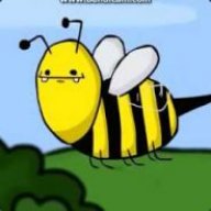 Ich bin eine Biene