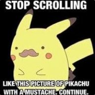 [OMFG] SENPAI_NOTICED