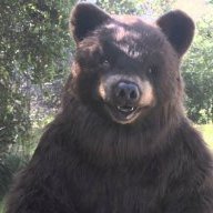 Bear5066