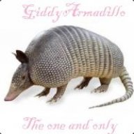 (mscss¥) GiddyArmadillo