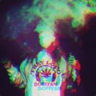 dLynx