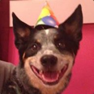 Puppy Breath [TW]