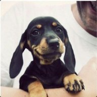 Lil Wiener