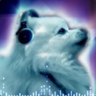 gabe the dog