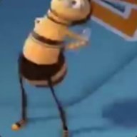 322 bees