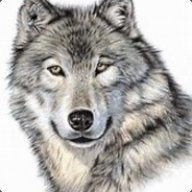 WOLFGAM3ING