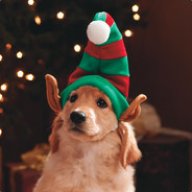 Santa's favorite helper