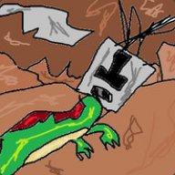 tinlizzard