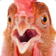 Mr.Chicken