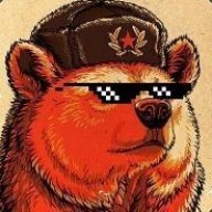 old bear