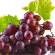 the grapist
