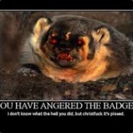 Angry Ratel