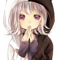 D.T