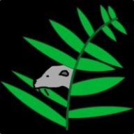 W]M[D FestiveFerret