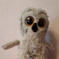 OwlY