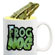 Frog Nog