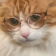 Hanz MorgenStern
