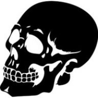 skull