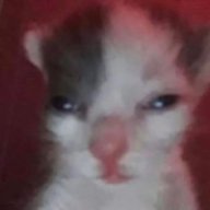 yo mamga