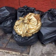 A Sentient Bag of Trash