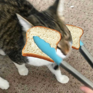 StealYourLungs
