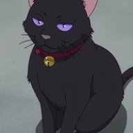 b1cat