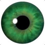 jdlj9999