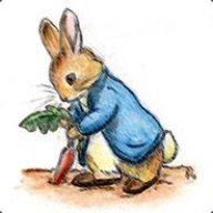 Peter Rabbit