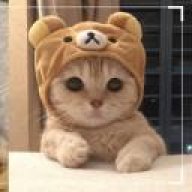 Snipercat