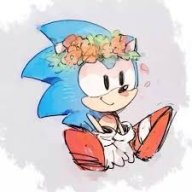 SCRAP_TheHedgehog