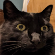Mr. Magenta Spy