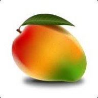 Mango1114