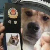 Police Birb