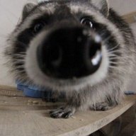 phonixat