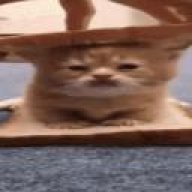 toadsc